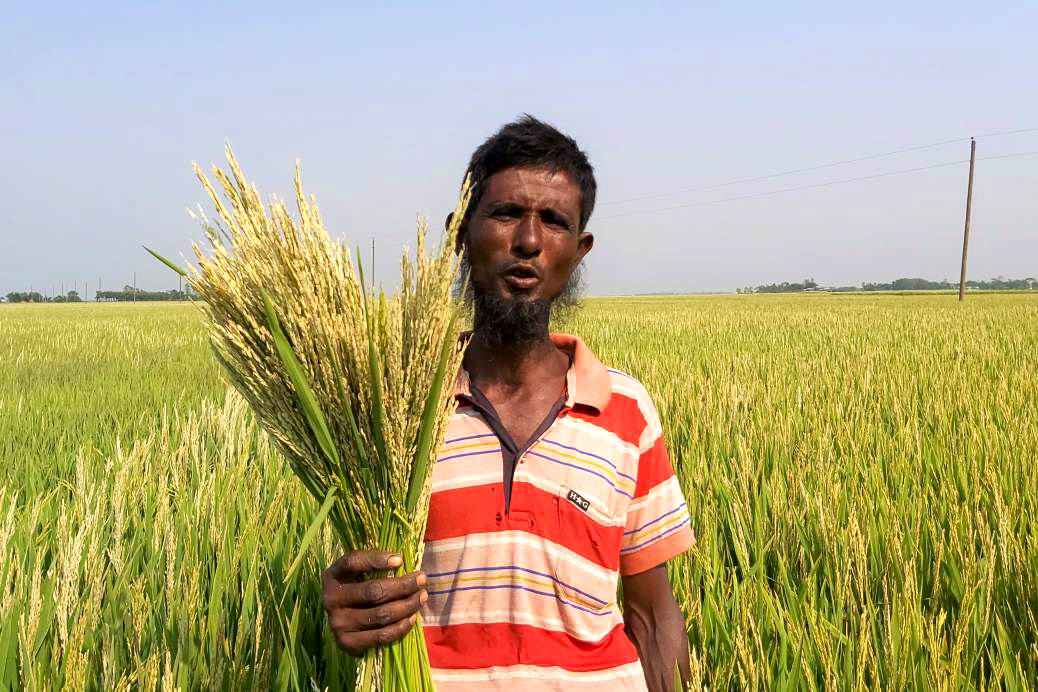 As rising 'heat shocks' ruin rice crops, Bangladesh faces hunger risk ...